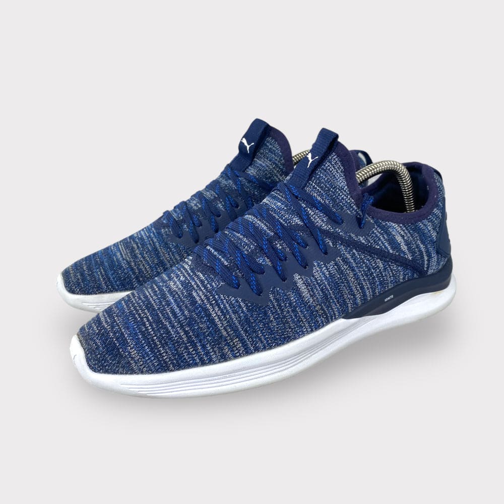 Puma ignite flash sales evoknit blue