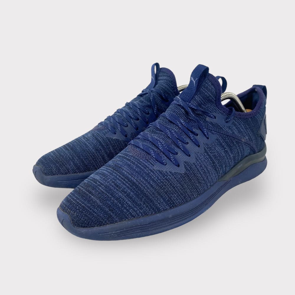 Puma ignite flash sales evoknit blue