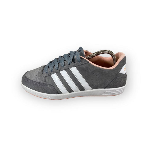 Adidas Hoops - Maat 37.5 Adidas