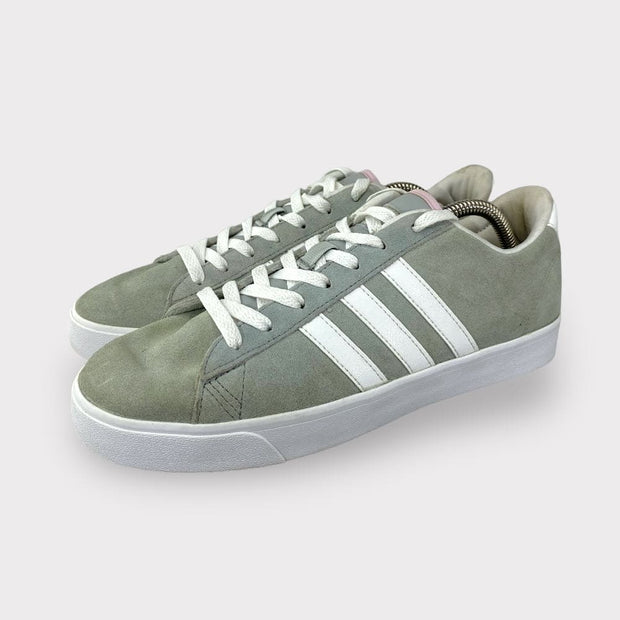 Tweedehands Adidas Cloudfoam Daily QT - Maat 40.5 3